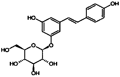 A smear-type water light needle directly reaching the dermis and its preparation method