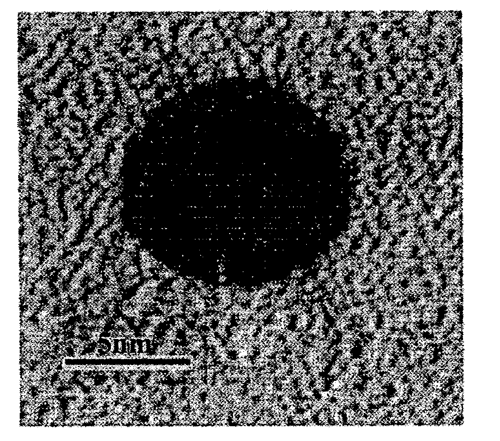 Polymeric electroluminescent device using an emitting layer of nanocomposites