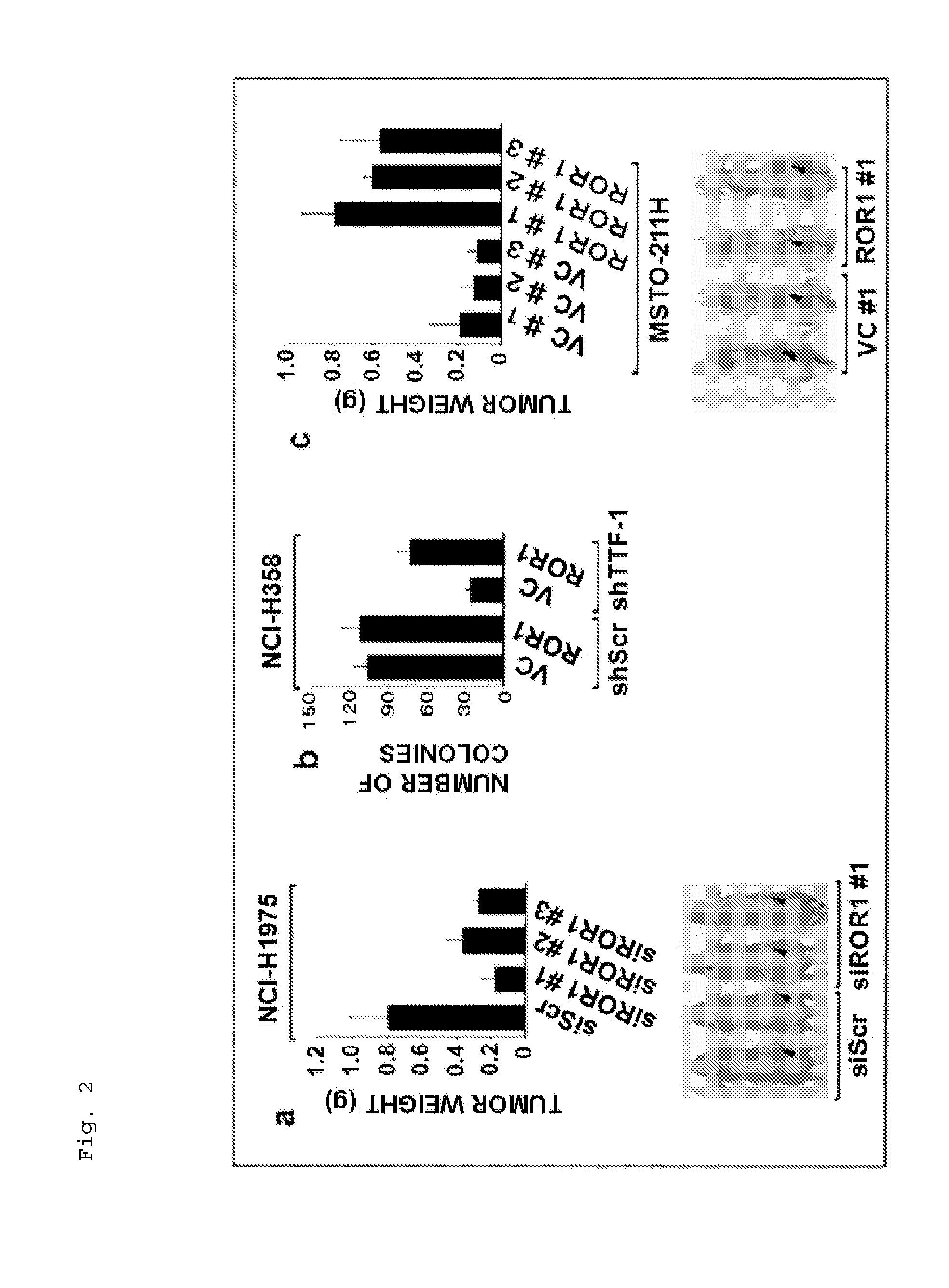 Method for suppressing receptor tyrosine kinase-mediated pro-survival signaling in cancer cell