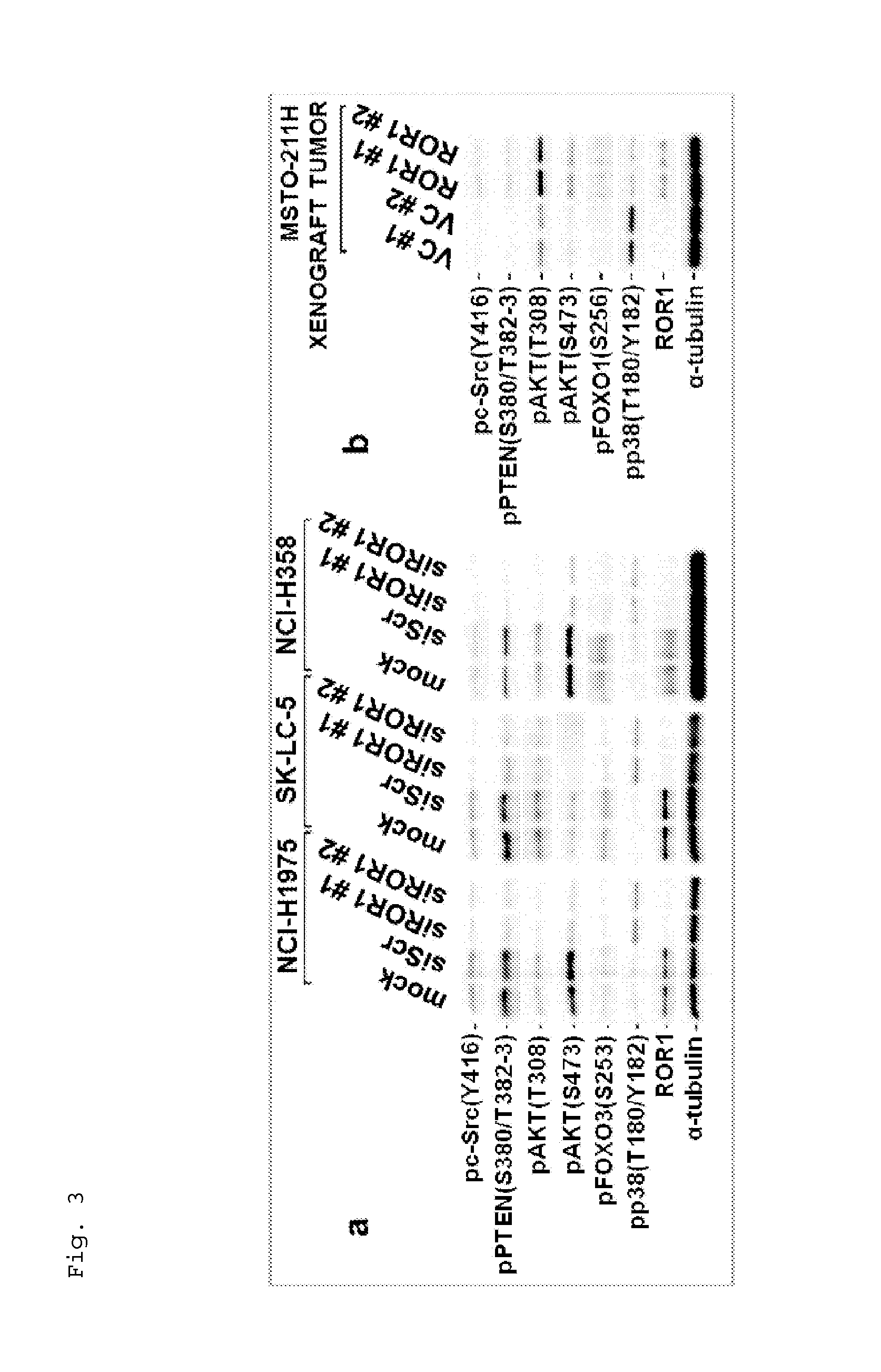 Method for suppressing receptor tyrosine kinase-mediated pro-survival signaling in cancer cell