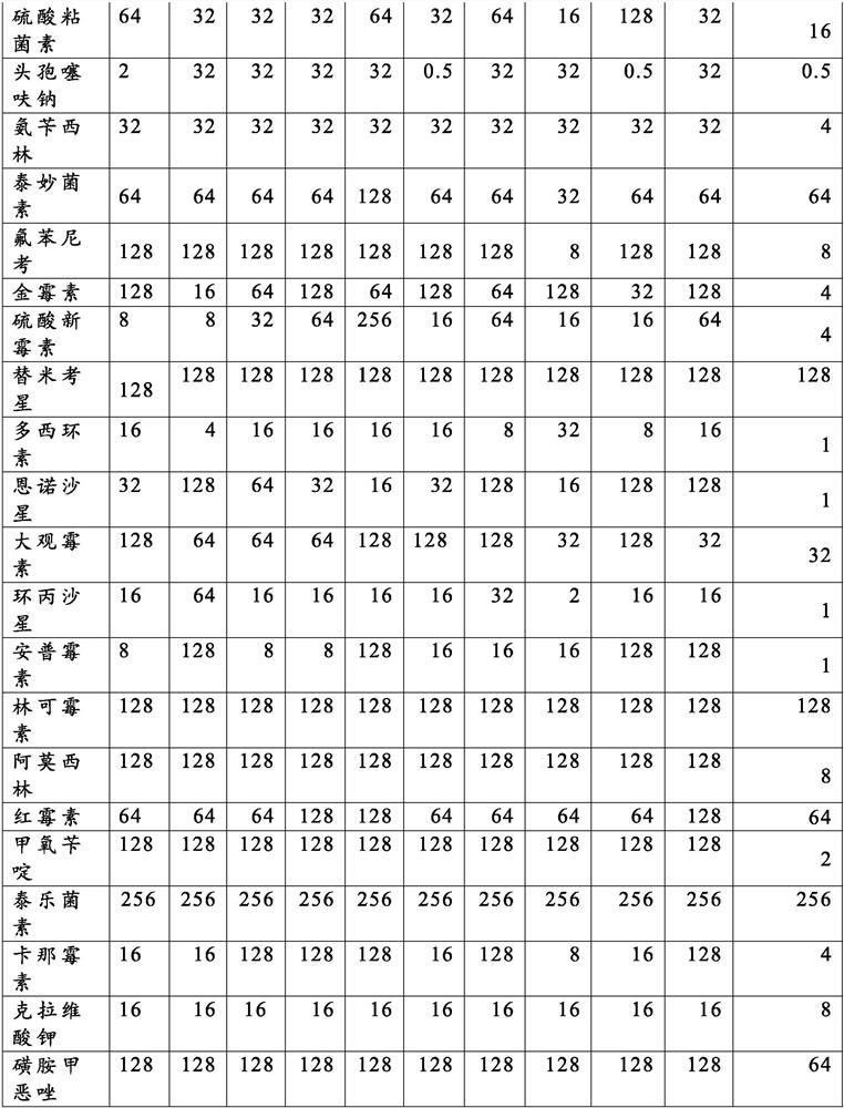 Composition for inhibiting multiple drug resistance of gram-negative bacteria of poultry and application of composition