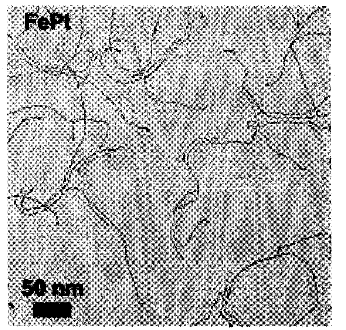 Method for preparing benzaldehyde through catalytic oxidation of styrene