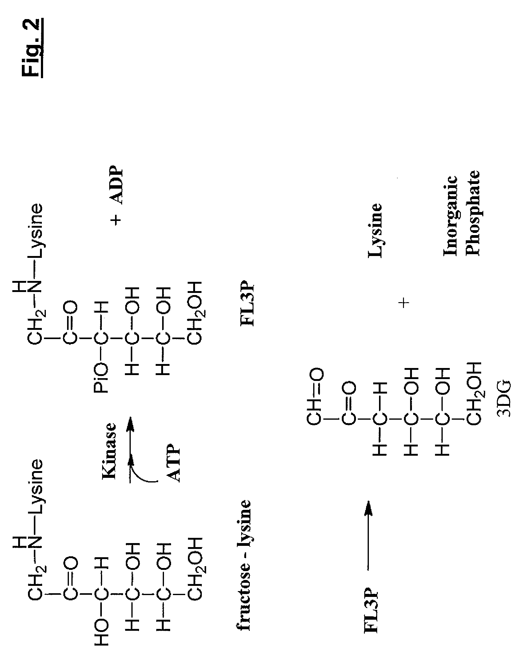 Treatment of Inflammatory Conditions