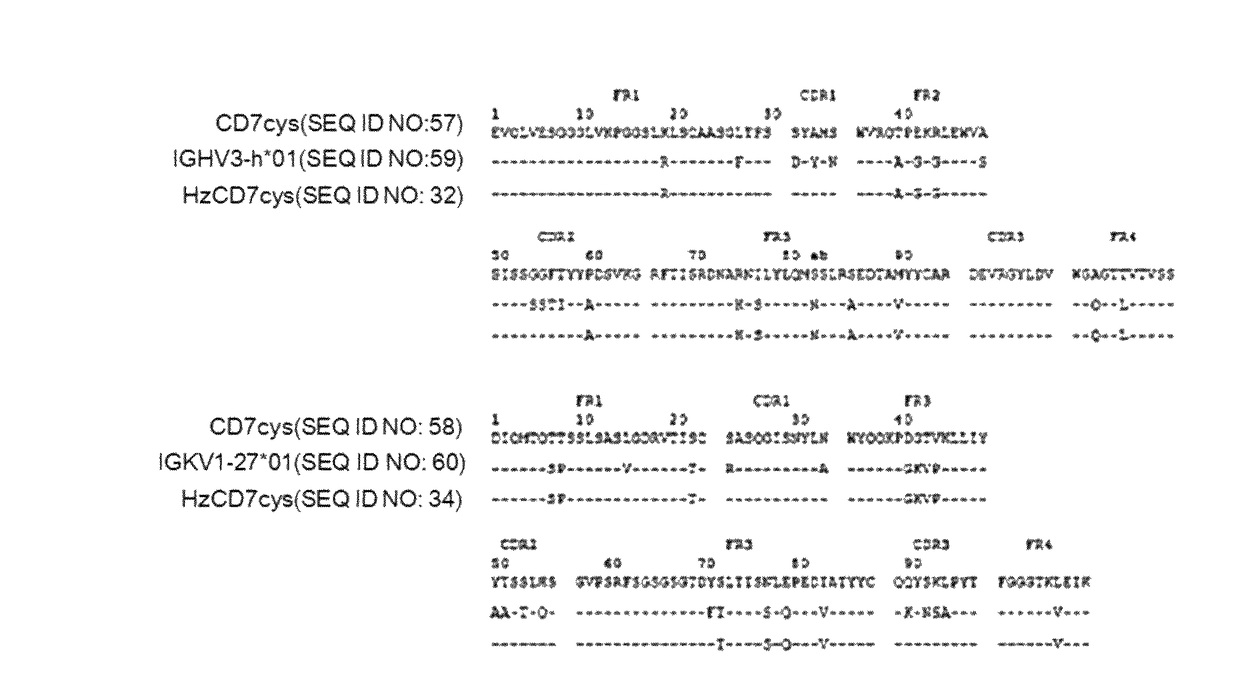 T-cell-specific humanized single fragment antibody delivery vehicle