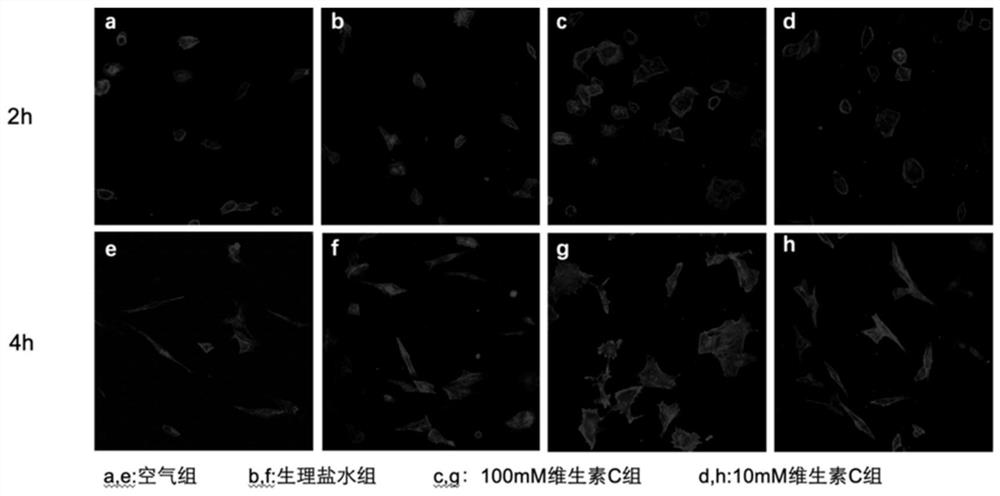 Application of a titanium implant storage solution containing vitamin c