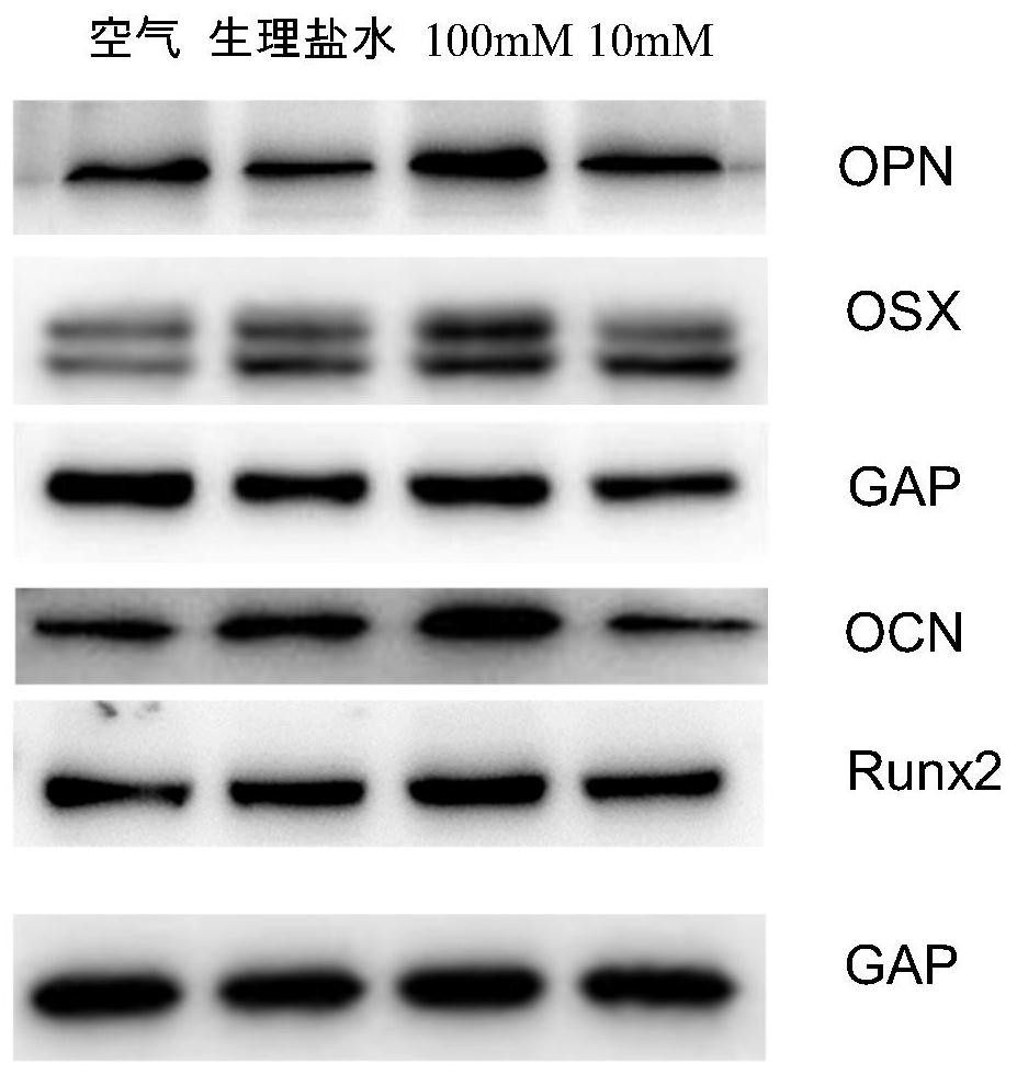 Application of a titanium implant storage solution containing vitamin c