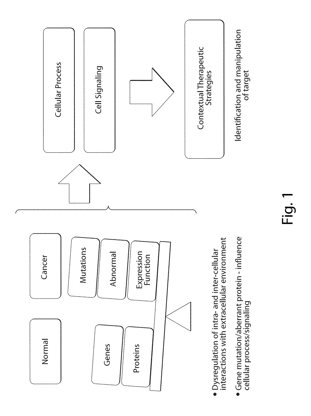 Interrogatory cell-based assays and uses thereof