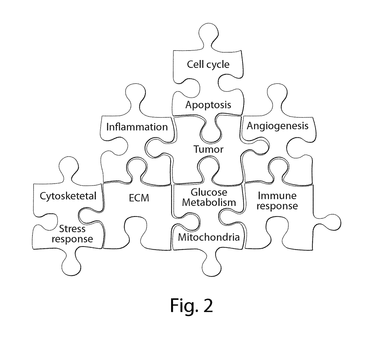 Interrogatory cell-based assays and uses thereof