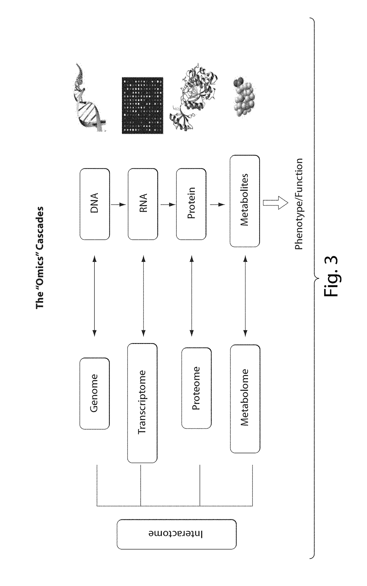 Interrogatory cell-based assays and uses thereof