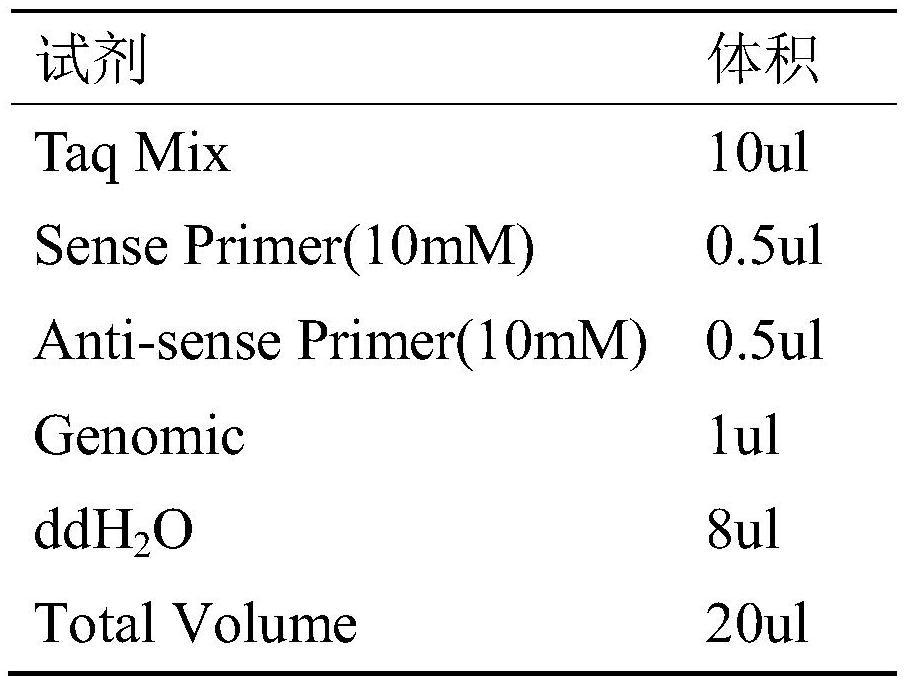 A kind of genetic marker and its application for evaluating bovine semen quality