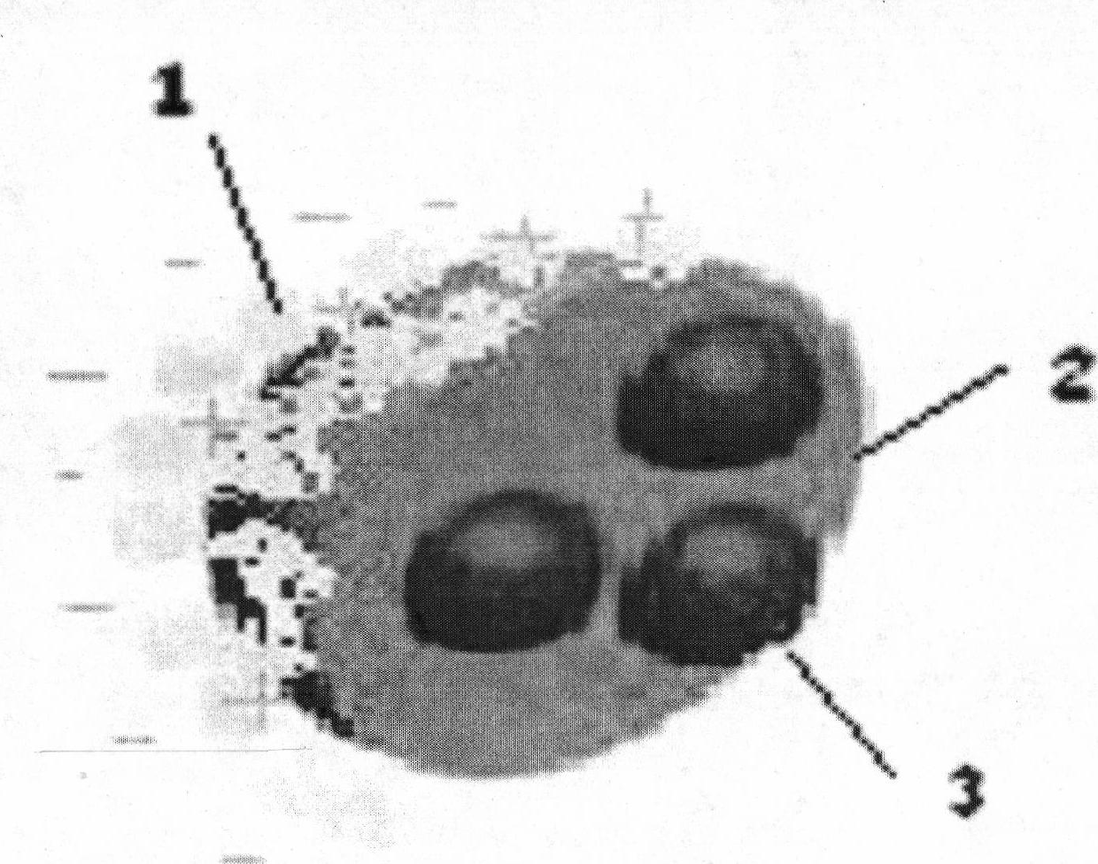 PH-sensitive precursor cation nanometer liposome of target tumour cell and preparation method thereof