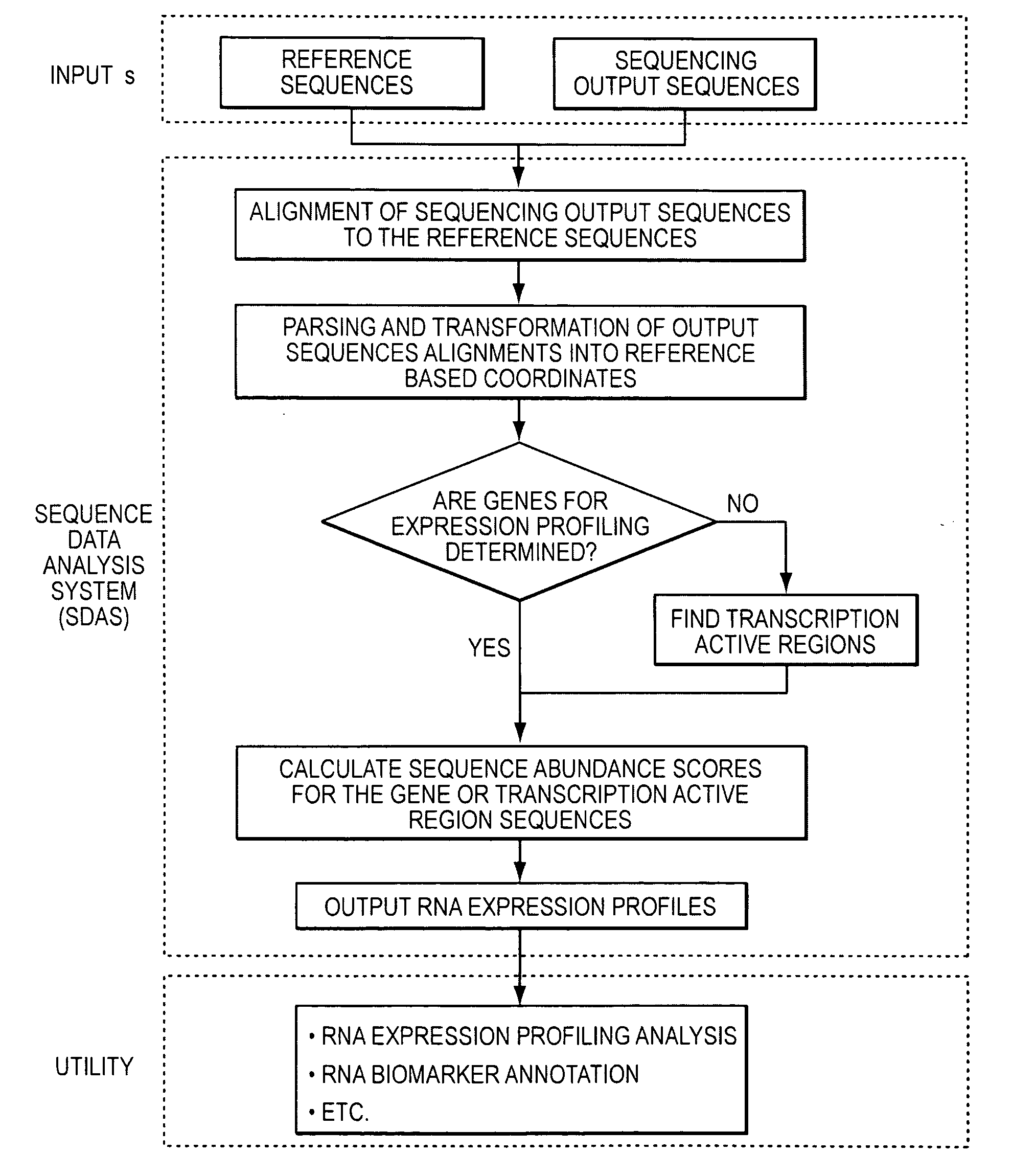 Method and system to characterize transcriptionally active regions and quantify sequence abundance for large scale sequencing data