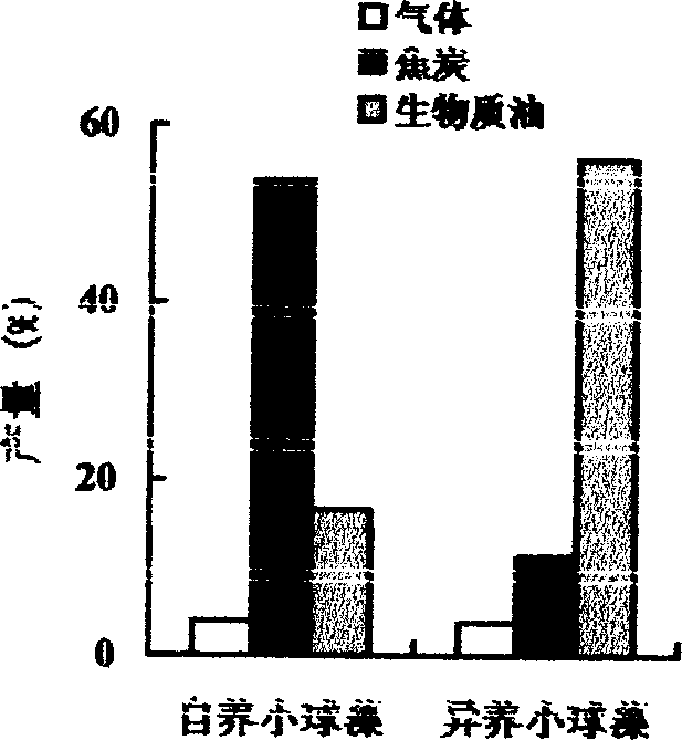 Method for preparing biology diesel oil by using amylum enzymolysis to cultivate heterotrophy alga