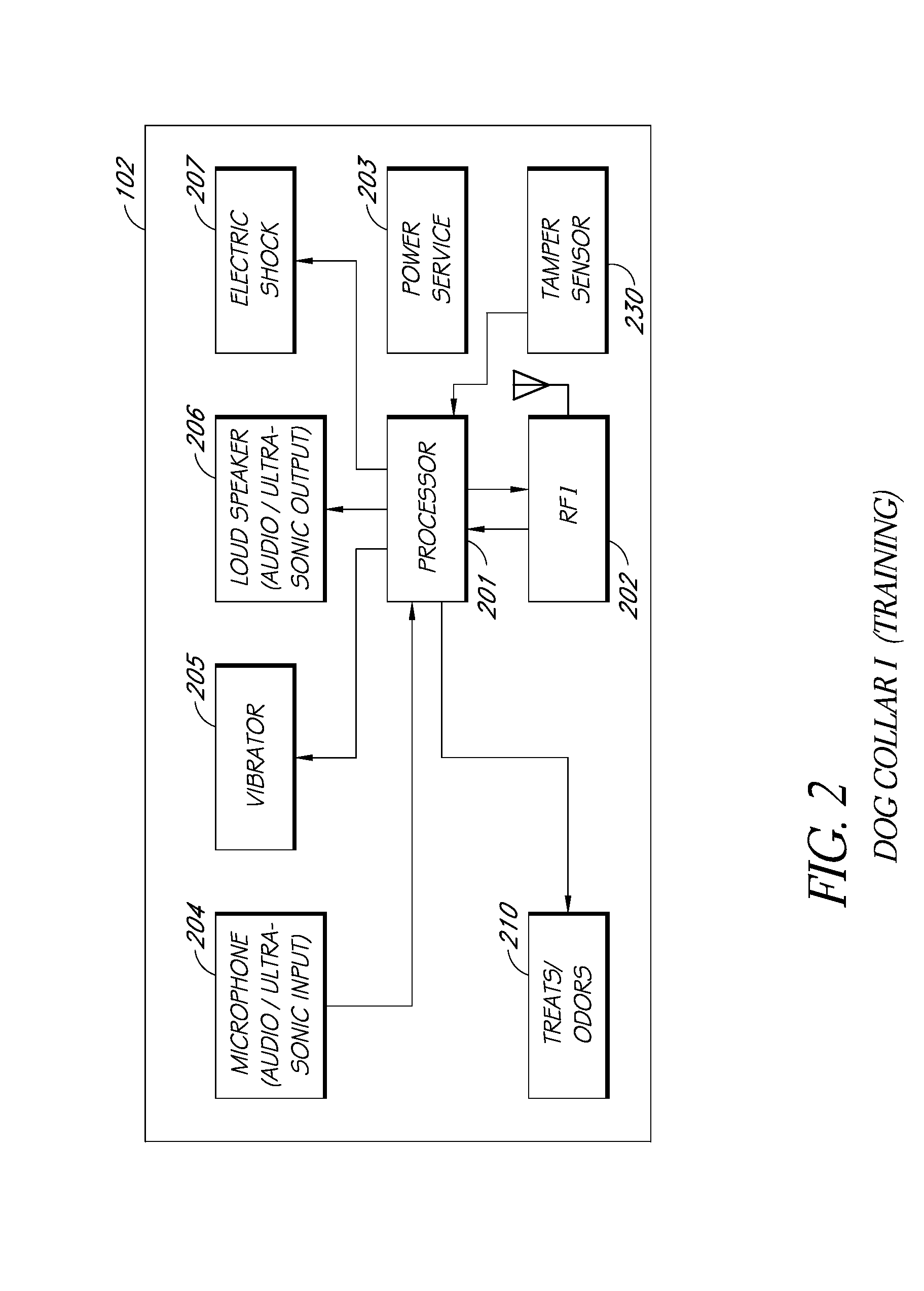 Camera system for canines, felines, or other animals