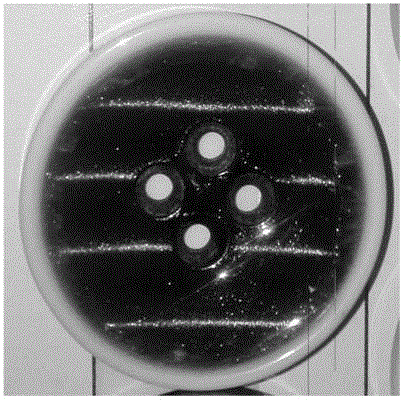 Pearlescent button and preparation method thereof