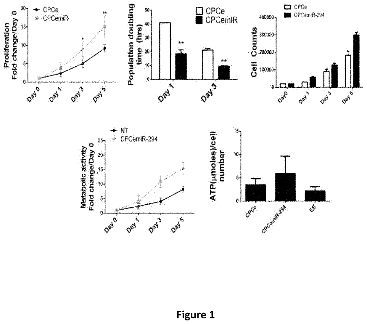 Microrna-294 and lin28a as a driver of cardiac tissue proliferation in response to pathological injury