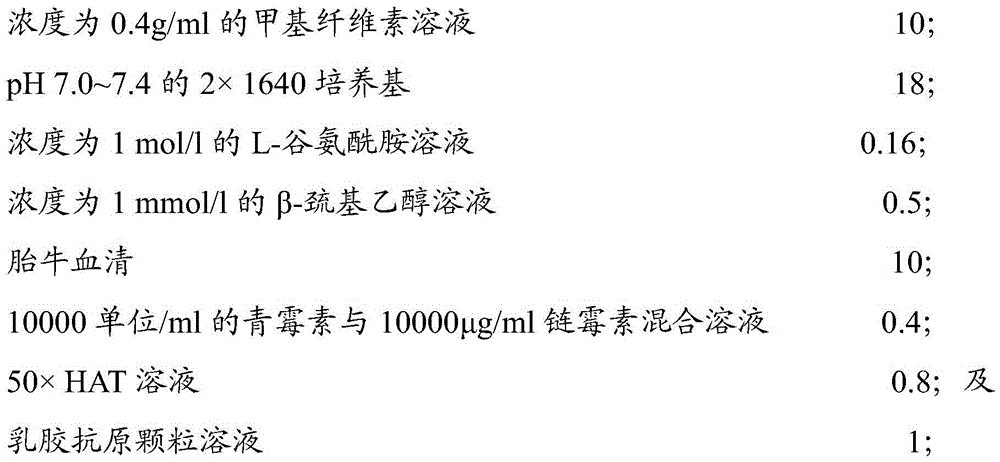 Latex semi-solid medium and its preparation method and hybridoma screening method