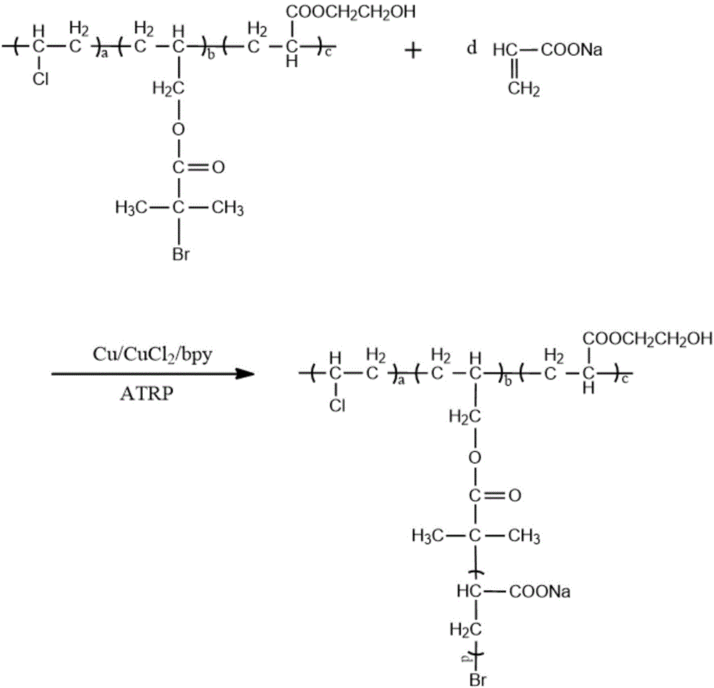 Anion functionalized vinyl chloride polymer and preparation method thereof