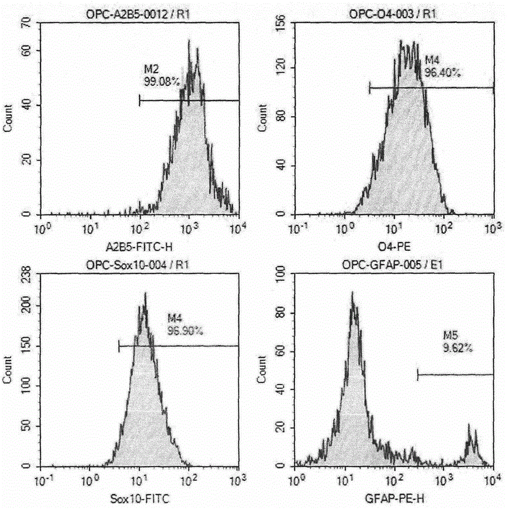 Preparation method of human oligodendrocyte precursor cell inhibiting nerve secondary injury, kit and application thereof