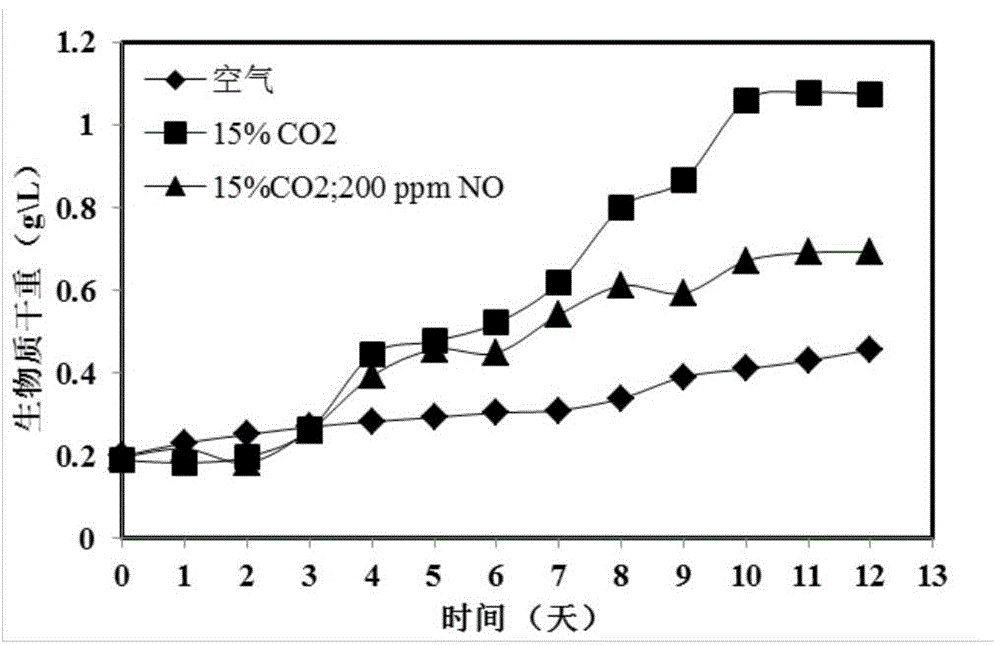 High-oil-yield scenedesmus SDEC-13 and culture method and application thereof