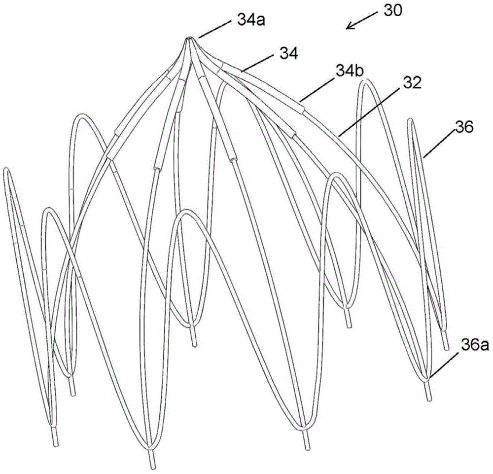 Vena cava filter