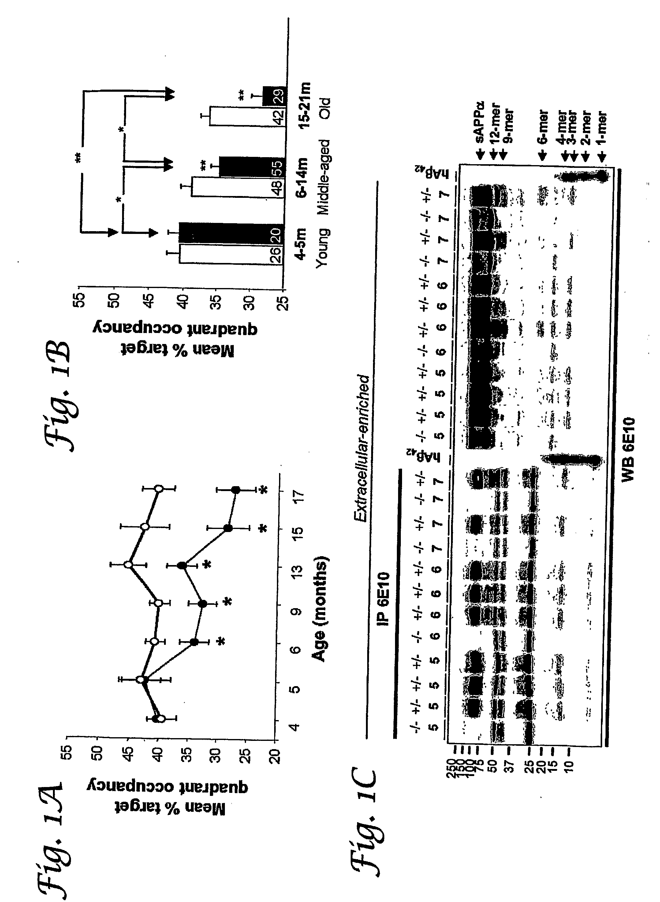 Assemblies of Oligomeric Amyloid Beta Protein and Uses Thereof