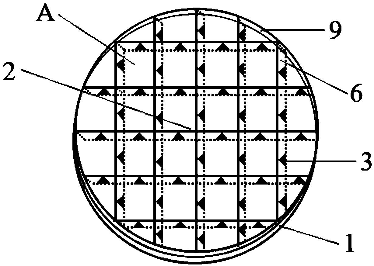 Breeding device and method for larvae of harmonia axyridis