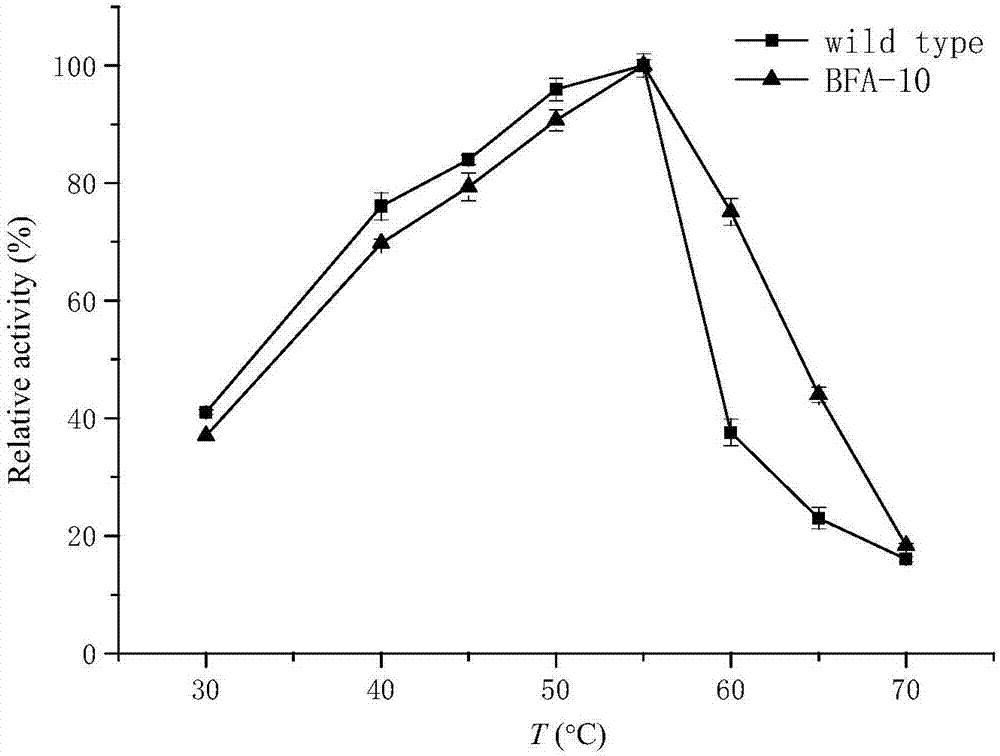 Beta-amylase mutant with improved heat stability