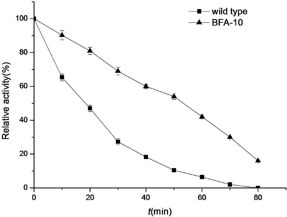 Beta-amylase mutant with improved heat stability