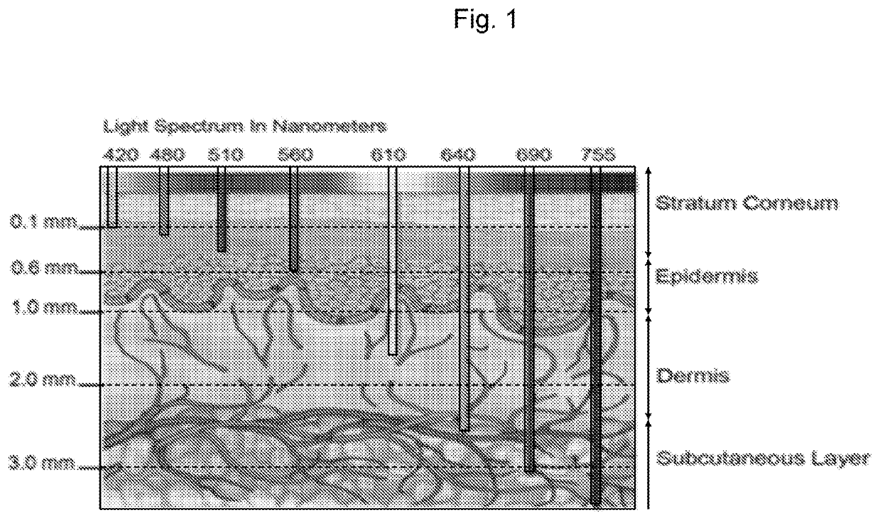 System and method for camera calibration