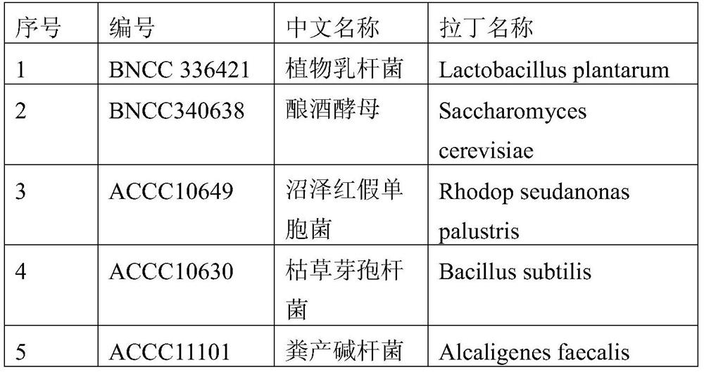 Chelated nano-iron water area purification ball and preparation method thereof