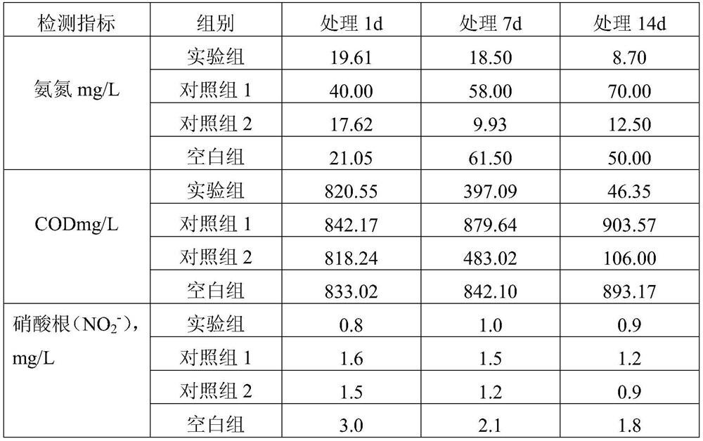 Chelated nano-iron water area purification ball and preparation method thereof