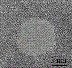 Nanopore electrical sensor