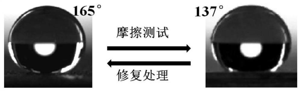 A kind of superhydrophobic powder coating and preparation method thereof