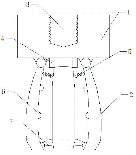 Tangerine peeling device