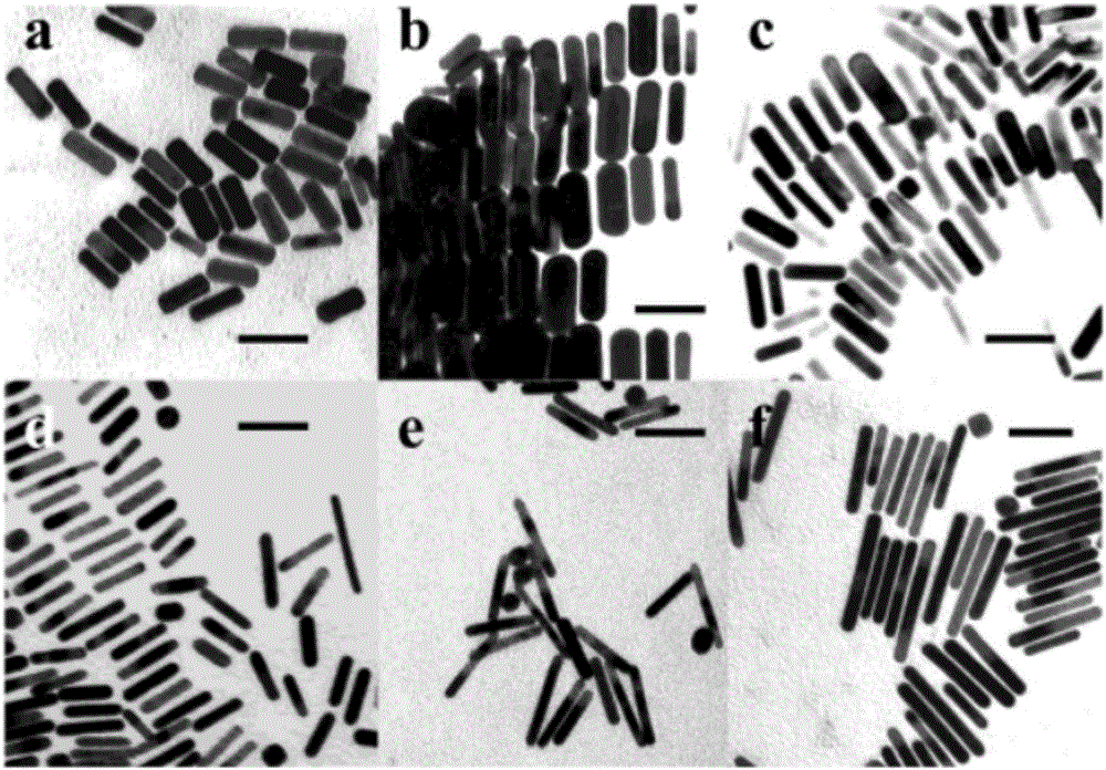 Preparation method of gold nanorod-coupled horse radish peroxidase and carcino-embryonic antigen-labeled antibody