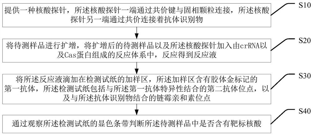 Nucleic acid detection method and nucleic acid detection kit based on detection test paper display