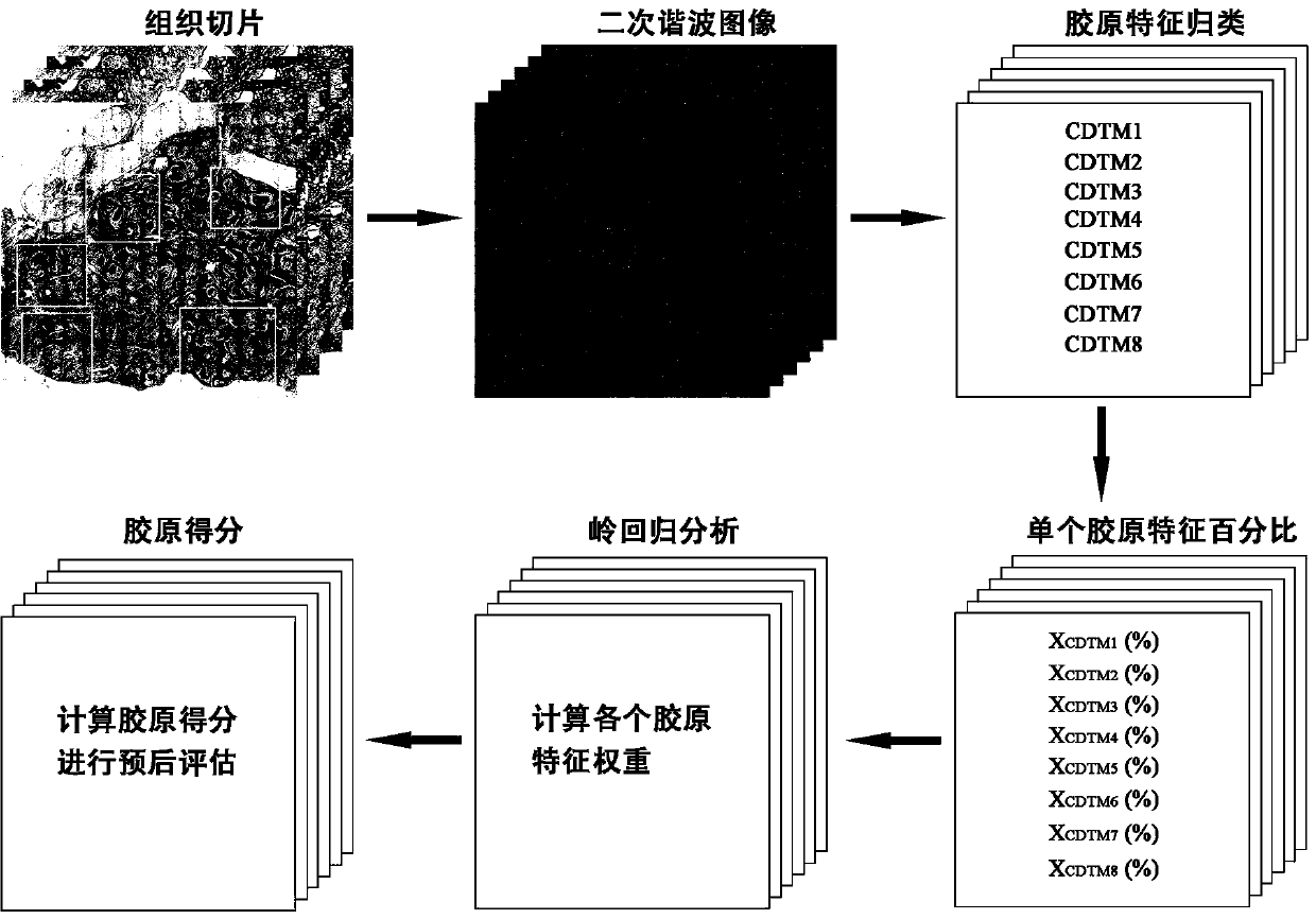 Novel method for breast cancer prognosis evaluation based on collagen distribution in tumor microenvironment