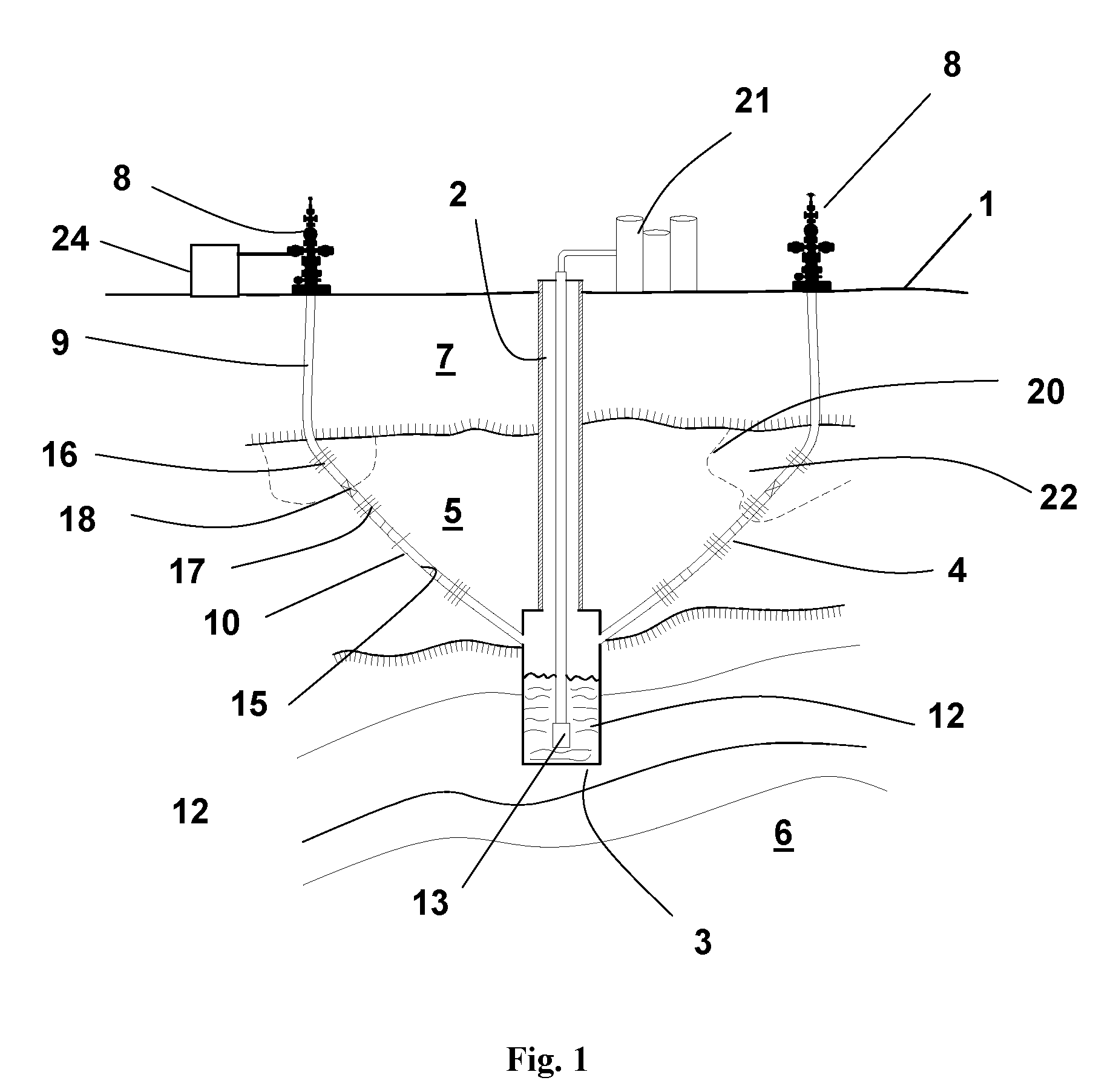 Petroleum extraction from hydrocarbon formations