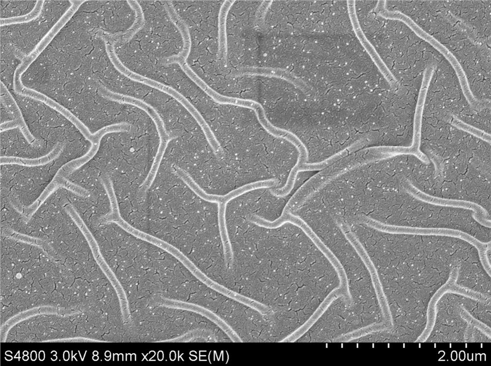 Composite film and its preparation method and application