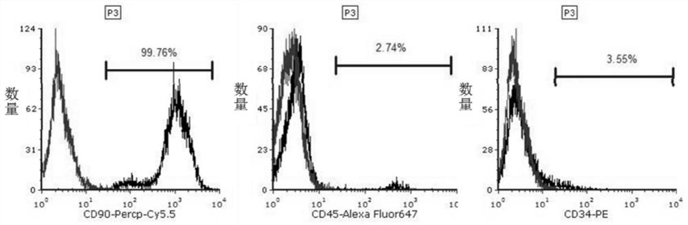 Method for promoting over-expression of TSP4 in mesenchymal stem cells, and preparation and application of mesenchymal stem cells