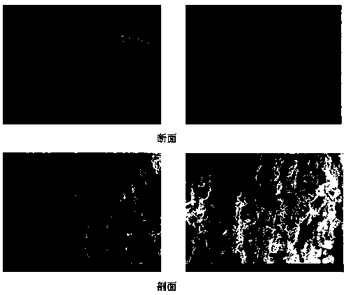 Preparation method of directional porous special cement