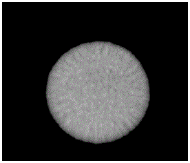 Ustilago esculenta haploid strain UET1 and use thereof