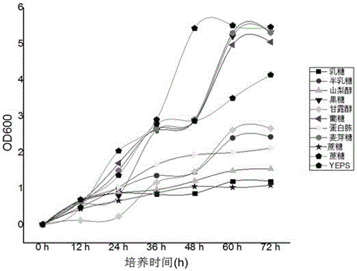 Ustilago esculenta haploid strain UET1 and use thereof