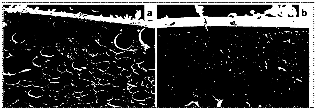 Flame-retardant rigid polyurethane foam of hydrophobic graphene aerogel coating and preparation method of flame-retardant rigid polyurethane foam