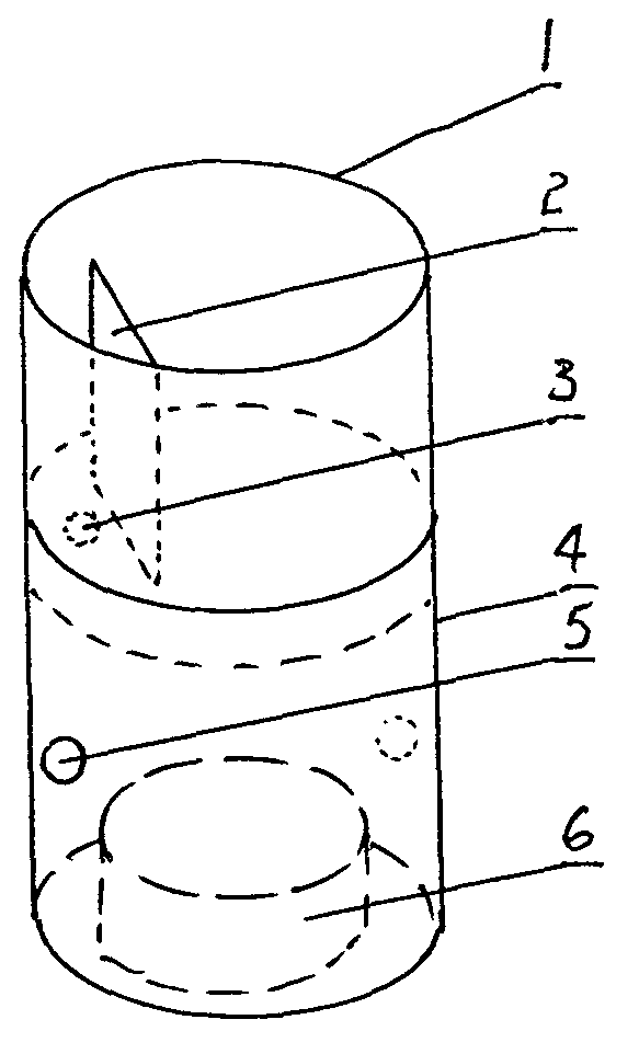 Toilet cleaner accommodating device