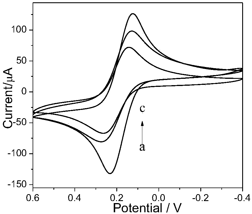 Vibrio DNA electrochemical sensor and preparation method and application thereof