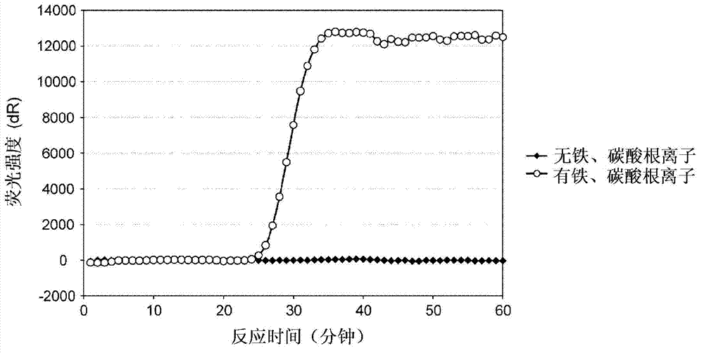 Biological sample pretreatment method, method for detecting rna, and pretreatment kit