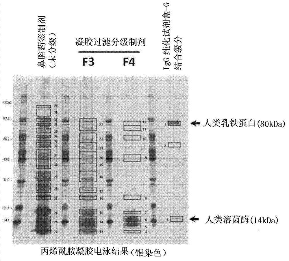 Biological sample pretreatment method, method for detecting rna, and pretreatment kit