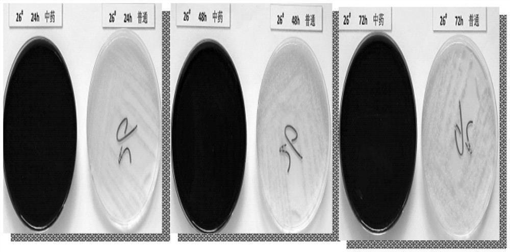 A traditional Chinese medicine composition for oral care of critically ill patients and oral care solution containing the same